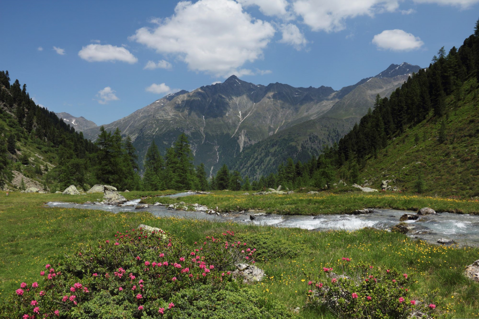 Alpen im Frühjahr ist, wo jede Wanderung einer Rebirth-Erfahrung gleicht