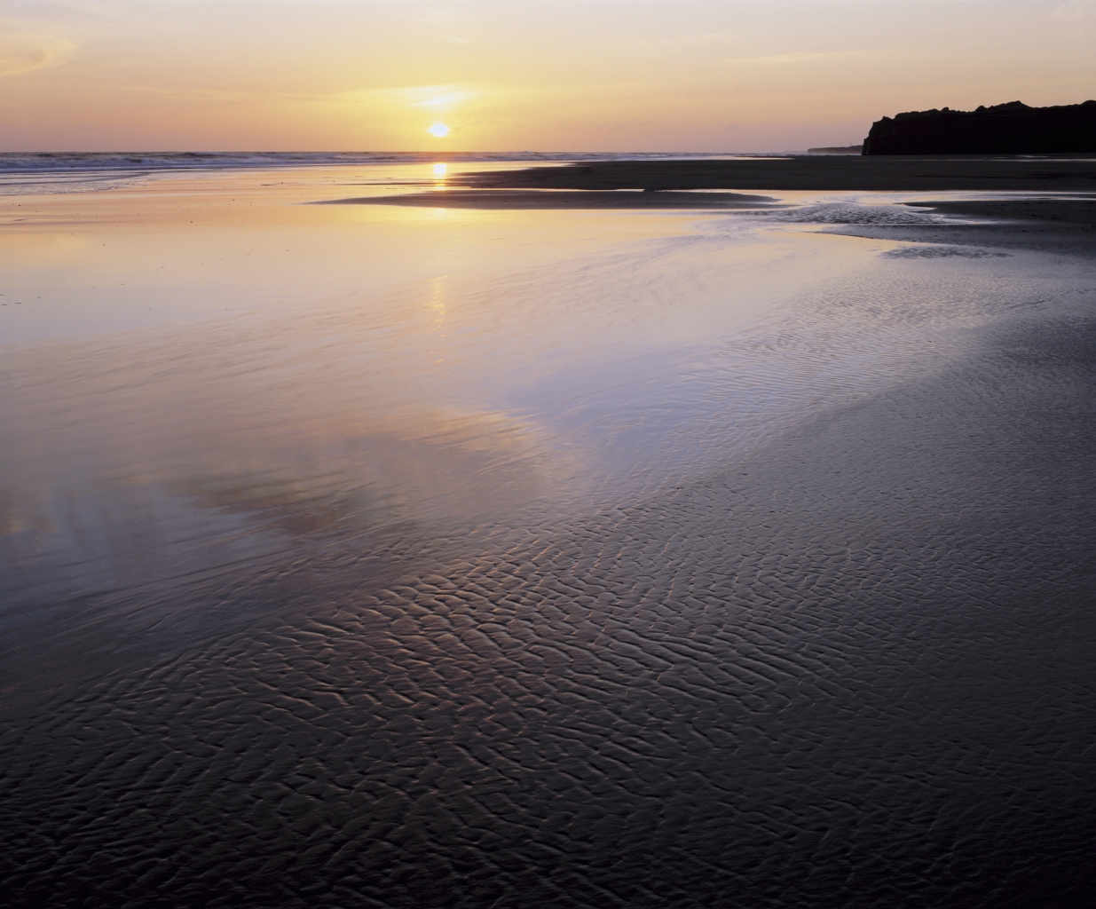 Das Wattenmeer ist ein tolles Ferienprogramm zum abkühlen und Neues entdecken.