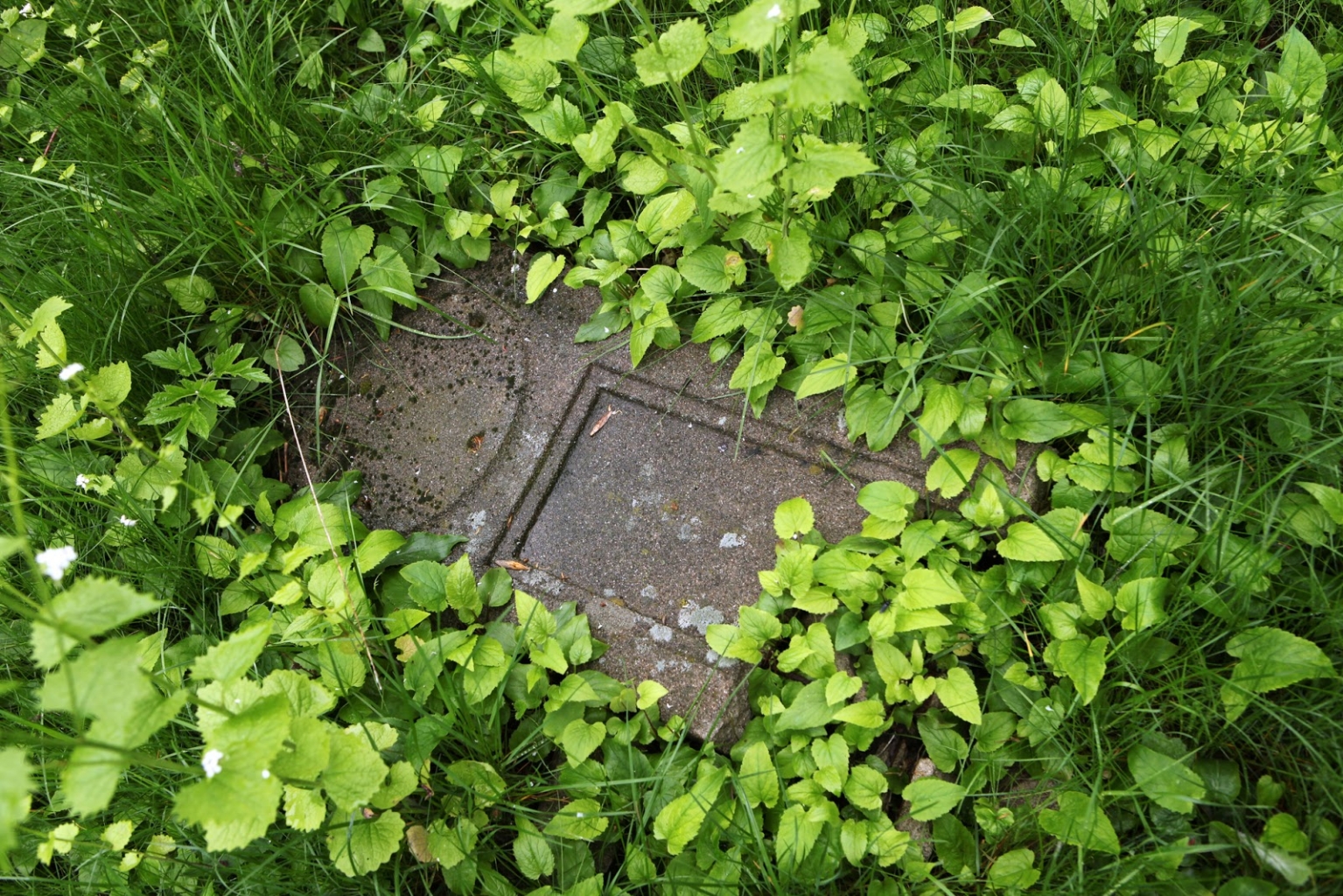 Kaum mehr lesbar und eingewachsen, dennoch unwiederbringlich hier: die Grabsteine des alten Nordfriedhofs, der heute ein verlassener Ort ist. 